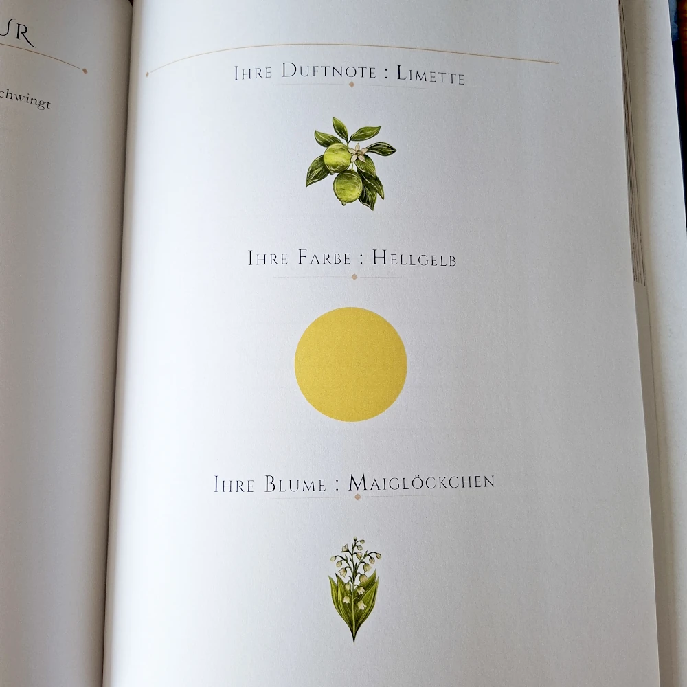 Individuelles Buch